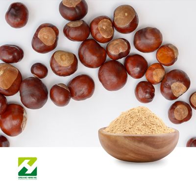 Horse Chestnut Extract 20% Aescin by Organic Herb Inc