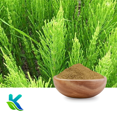 Horsetail Extract 7% Silica by Hunan Naturext