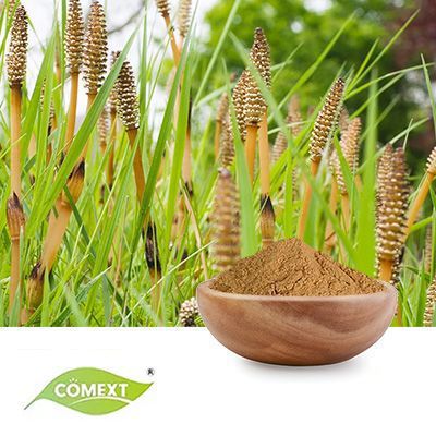 Horsetail Extract 7% Silicon by Comext