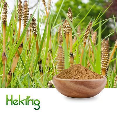Horsetail Extract 7% Silicon by Comext