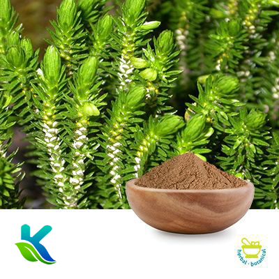 Huperzine A 1% (Synthetic Mixed Natural) by Hunan Naturext