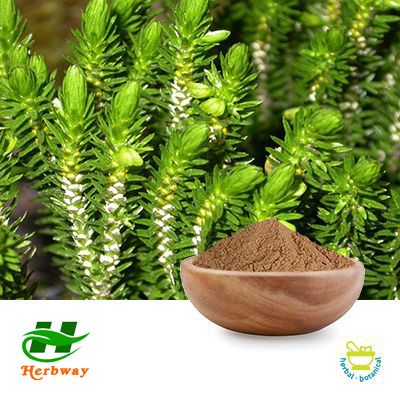 Huperzine A 1% (Synthetic Mixed Natural) by Changsha Herbway