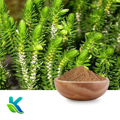 Huperzine A 1% (Synthetic Mixed Natural) by Hunan Naturext