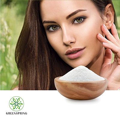 Hyaluronic Acid Powder 90% Purity by HPLC by Green Spring
