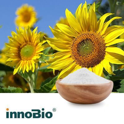 INNOBIO® High Oleic Sunflower Oil 70% Powder CWD by innoBio