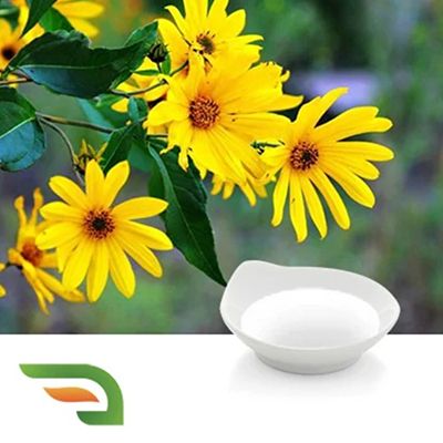 Inulin Syrup by Joywin