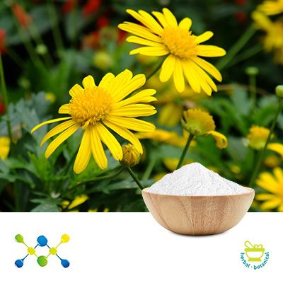 Inulin by Undersun Biomedtech 