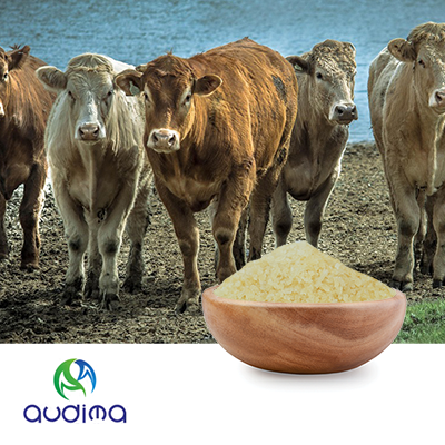 Bone Gelatin for Softgel(G250) by Guangdong Audima