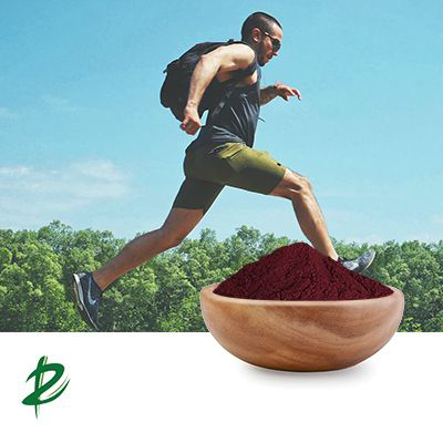 Chromium Picolinate by Zhumadian Tianzhong