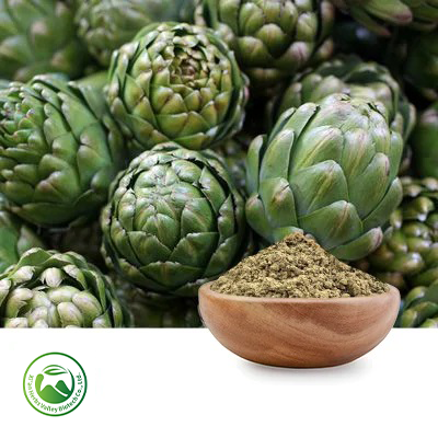 Artichoke Powder by Xi'an Herbs Valley