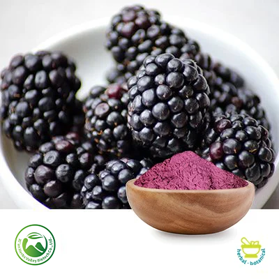 Blackberry Fruit Powder by Xi'an Herbs Valley