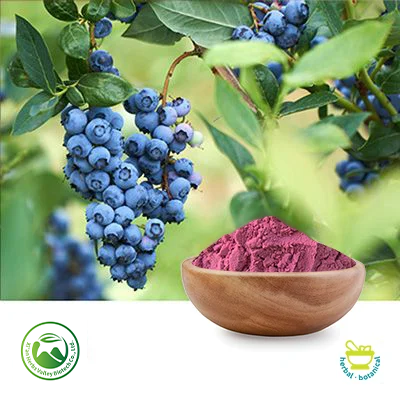 Blueberry Extract 10:1 by Xi'an Herbs Valley