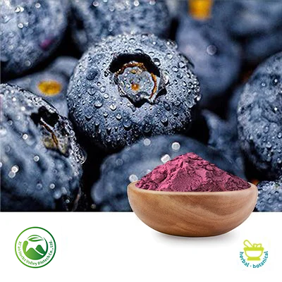 Blueberry Fruit Powder by Xi'an Herbs Valley