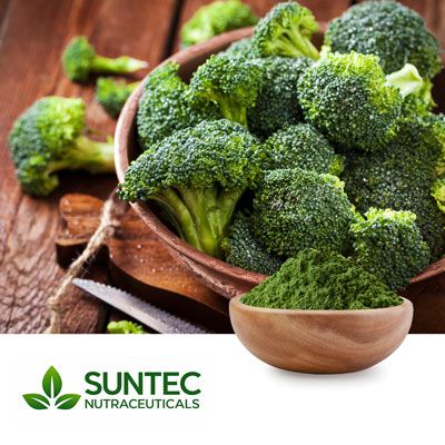 Broccoli Powder by Suntec Nutraceuticals