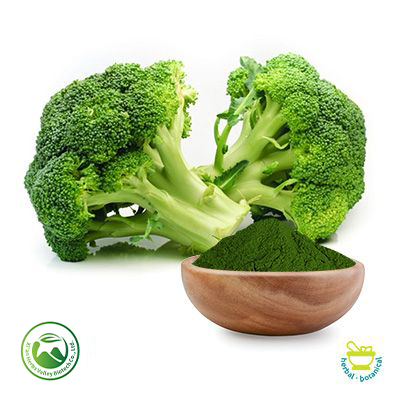 Broccoli Powder by Xi'an Herbs Valley