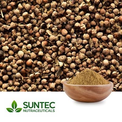 Chasteberry Powder by Suntec Nutraceuticals