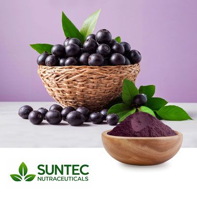 Acai Fruit Powder by Suntec Nutraceuticals