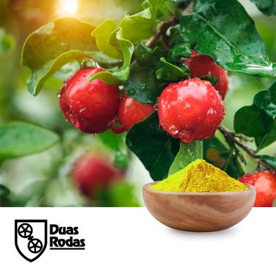 Acerola Extract Powder (32-36% Vitamin C) by Duas Rodas