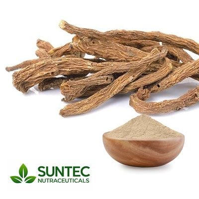 Angelica Sinensis (Dong Quai) Extract 4:1 by Suntec Nutraceuticals