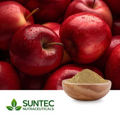 Apple Powder by Suntec Nutraceuticals