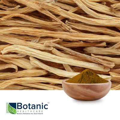 Asparagus racemosus Extract 30% Organic by Botanic Healthcare