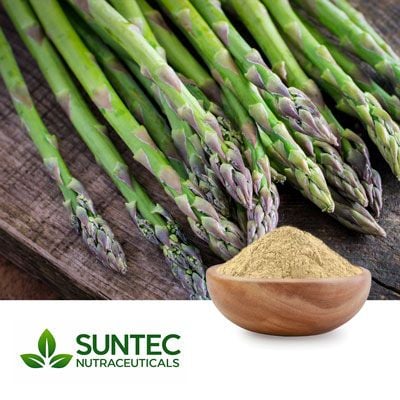 Asparagus Root Powder by Suntec Nutraceuticals