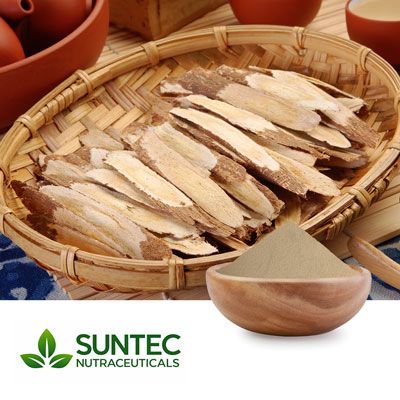 Astragalus Root Powder by Suntec Nutraceuticals