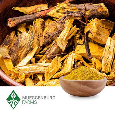 Barberry Root Bark Powder by Mueggenburg USA
