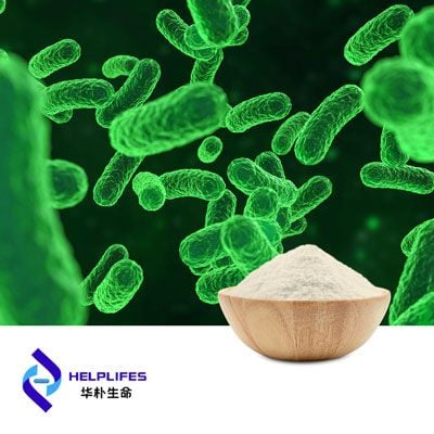 Bifidobacterium bifidum Probiotic Powder (BB67 100B) by Shanghai Helplifes Technology