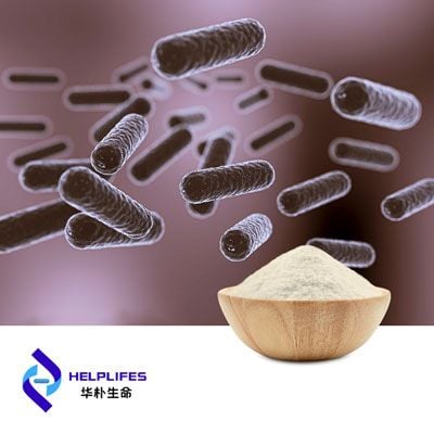 Bifidobacterium longum HBL79 (100B CFU/g)  by Shanghai Helplifes Technology