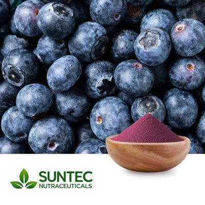 Billberry Extract 10:1 by Suntec Nutraceuticals