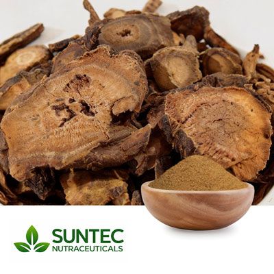 Black atractylodes Root Powder by Suntec Nutraceuticals