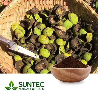  Black Walnut Hull Extract 10:1 by Suntec Nutraceuticals