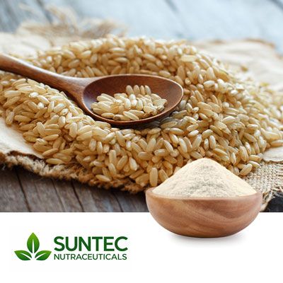 Brown Rice Flour by Suntec Nutraceuticals