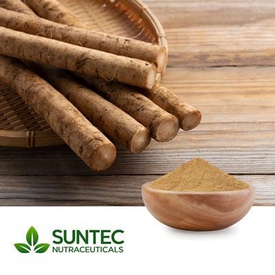 Burdock Powder by Suntec Nutraceuticals