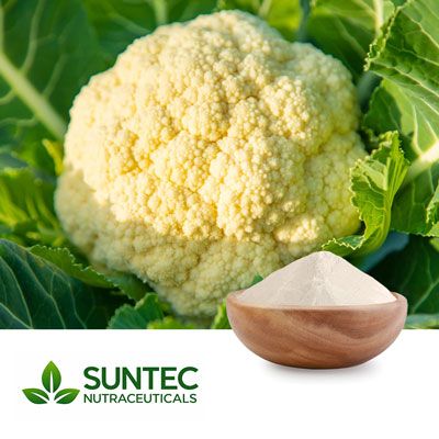 Cauliflower Floret Powder by Suntec Nutraceuticals