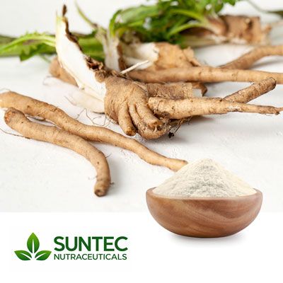 Chicory Root Powder by Suntec Nutraceuticals