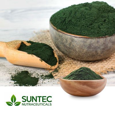 Chlorella Powder (Broken Cell) by Suntec Nutraceuticals