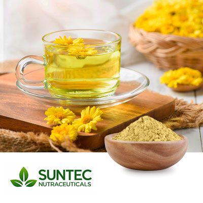 Chrysanthemum flower Powder by Suntec Nutraceuticals