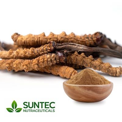 Cordyceps Sinensis Extract 10:1 by Suntec Nutraceuticals