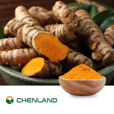 CuminUP60® Turmeric Extract by Gansu Chenland Biological Technology
