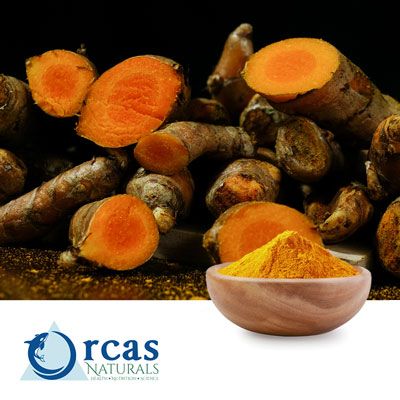 Curcumin 95% by Orcas Naturals