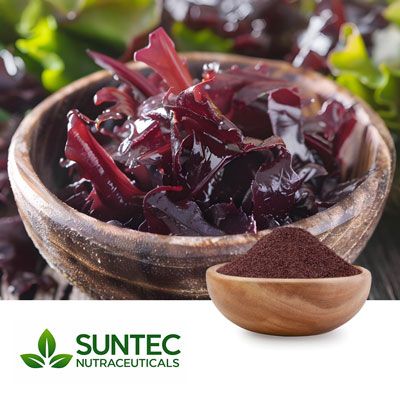 Dulse Powder by Suntec Nutraceuticals