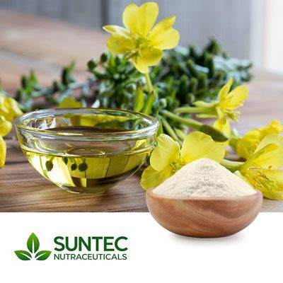 Evening Primrose Oil Powder 25%Oil By GC by Suntec Nutraceuticals