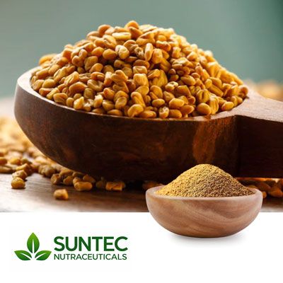 Fenugreek Extract 20:1 by Suntec Nutraceuticals