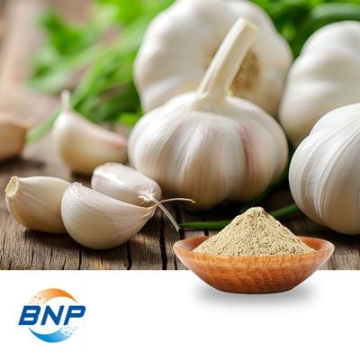 Garlic A10,000 Granular by Qingdao BNP BioScience