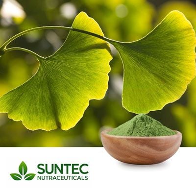 Ginkgo Biloba Leaf Powder by Suntec Nutraceuticals