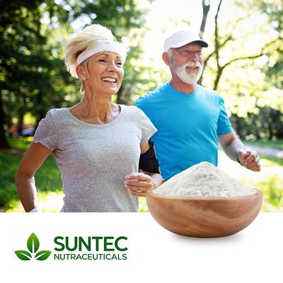 Glucosamine HCL DC 95% PVP 5% by Suntec Nutraceuticals