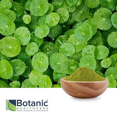 Gotu Kola Extract 10:1 Organic by Botanic Healthcare