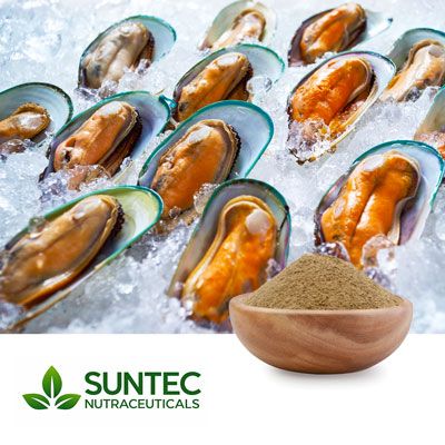 Green Lipped Mussel Powder by Suntec Nutraceuticals